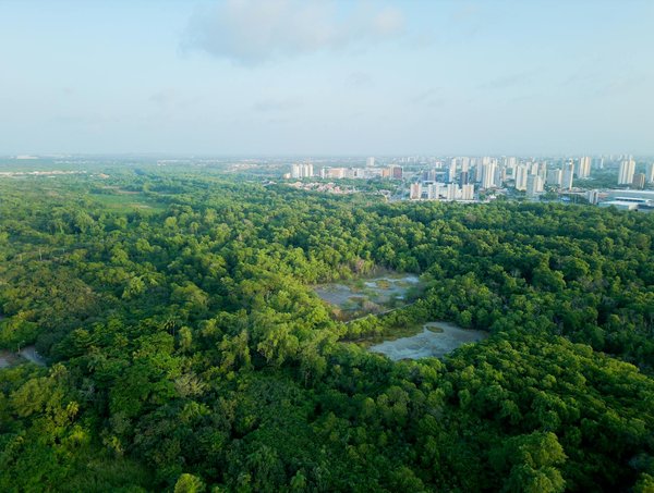 Salons internationaux : partir à la conquête du monde